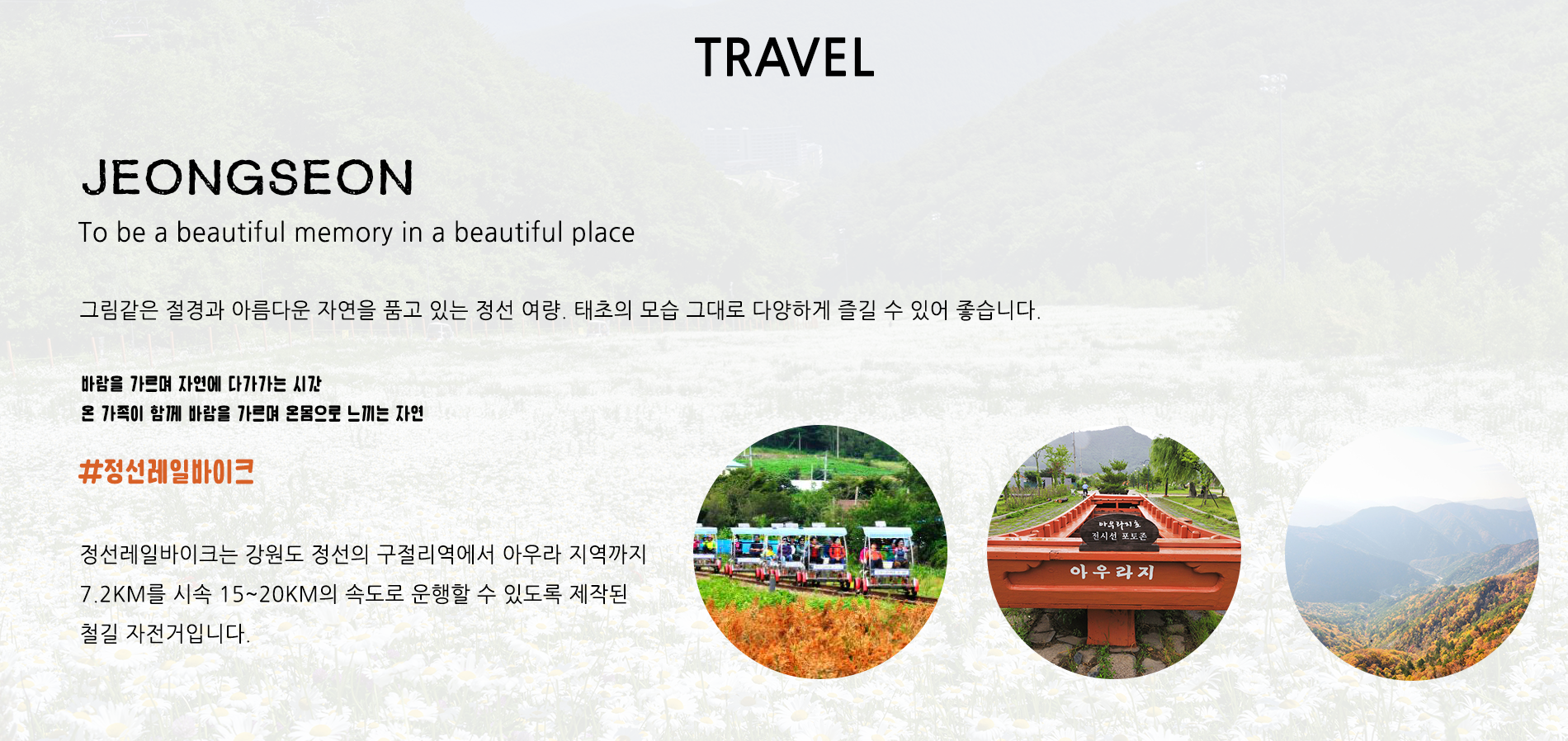 정선소개